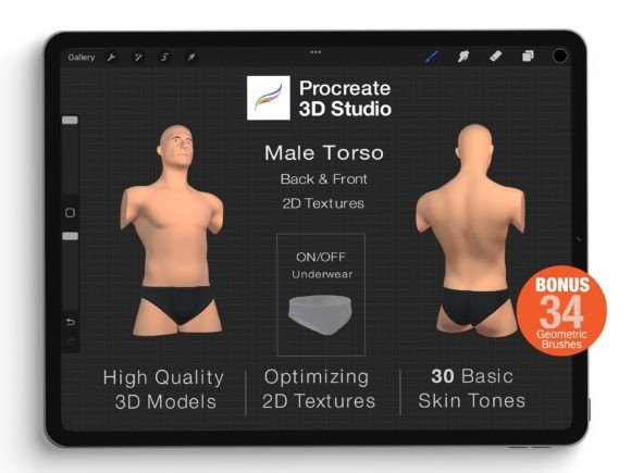 Mastering Anatomy and Texture with the Procreate 3d Model - Torso Body Male