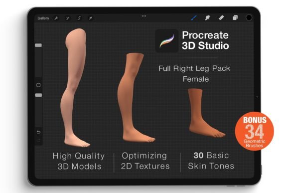 Mastering the Procreate 3d Model -Right Leg Female for Modern Digital Artistry